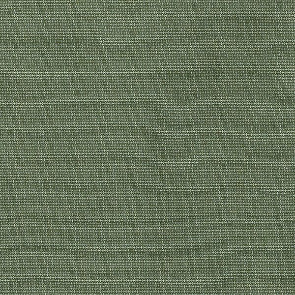 Bliss Aloe Sunbrella Outdoor Fabric for patio furniture cushions and outdoor pillows
