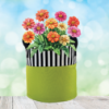 Picture of Grow Tote Stripe Lime