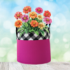 Picture of Grow Tote Check Pink