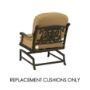 Hanamint St Augustine Deep Seating Spring Club Chair Replacement Cushions | Custom Outdoor Comfort