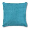 Outdoor Pillow Richloom Solarium Rave Aqua