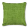 Outdoor Pillow Richloom Solarium Rave Lawn